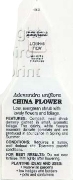 Picture of ADENANDRA UNIFLORA CHINA FLOWER                                                                                                                       
