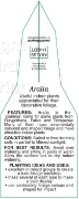 Picture of ARALIA SPECIES                                                                                                                                        