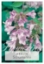 Picture of ABELIA SCHUMANNII                                                                                                                                     