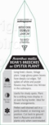 Picture of ACANTHUS MOLLIS BEARS BREECHES OR OYSTER PLANT                                                                                                        