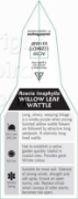 Picture of ACACIA ITEAPHYLLA WILLOW LEAF WATTLE                                                                                                                  