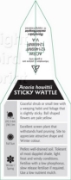 Picture of ACACIA HOWITTII STICKY WATTLE                                                                                                                         
