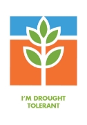 Picture of I&#39;M DROUGHT TOLERANT                                                                                                                              