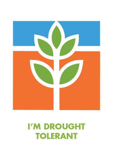 Picture of I&#39;M DROUGHT TOLERANT                                                                                                                              