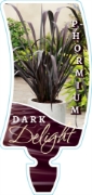 Picture of PHORMIUM DARK DELIGHT                                                                                                                                 