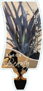 Picture of PHORMIUM BLACK BEAUTY                                                                                                                                 