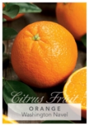 Picture of FRUIT CITRUS ORANGE WASHINGTON NAVEL Jumbo Tag                                                                                                        