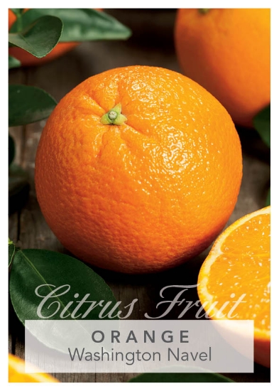 Picture of FRUIT CITRUS ORANGE WASHINGTON NAVEL Jumbo Tag                                                                                                        