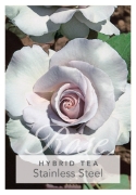 Picture of ROSE STAINLESS STEEL (HT)                                                                                                                             