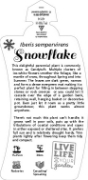 Picture of IBERIS SNOWFLAKE                                                                                                                                      