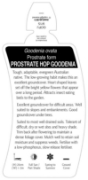Picture of GOODENIA OVATA PROSTRATE HOP GOODENIA                                                                                                                 