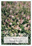 Picture of HEBE ICING SUGAR                                                                                                                                      
