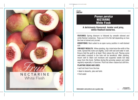 Picture of FRUIT NECTARINE WHITE FLESH Jumbo Tag                                                                                                                 