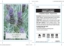 Picture of LAVANDULA DENTATA FRENCH LAVENDER                                                                                                                     