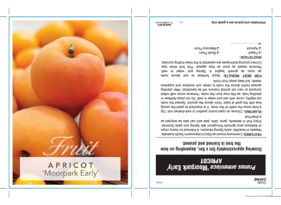 Picture of FRUIT APRICOT MOORPARK EARLY (HERITAGE) Jumbo Tag                                                                                                     