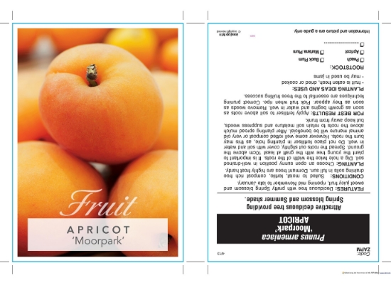 Picture of FRUIT APRICOT MOORPARK (HERITAGE) Jumbo Tag                                                                                                           