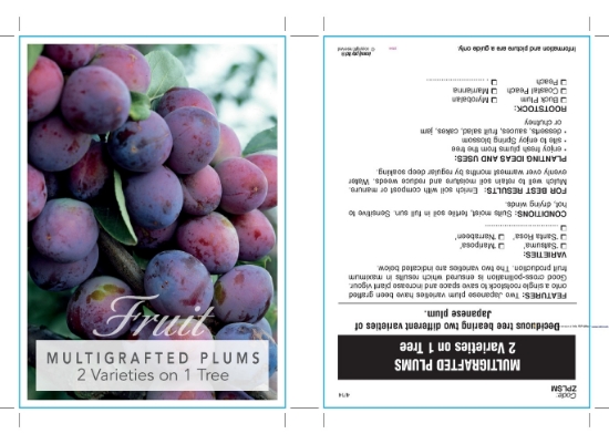 Picture of FRUIT PLUM MULTIGRAFT 2 ON 1 Jumbo Tag                                                                                                                