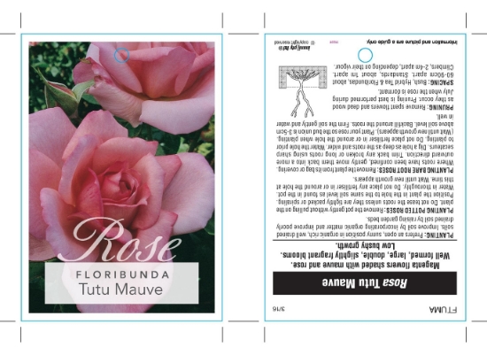 Picture of ROSE TUTU MAUVE (FL)                                                                                                                                  