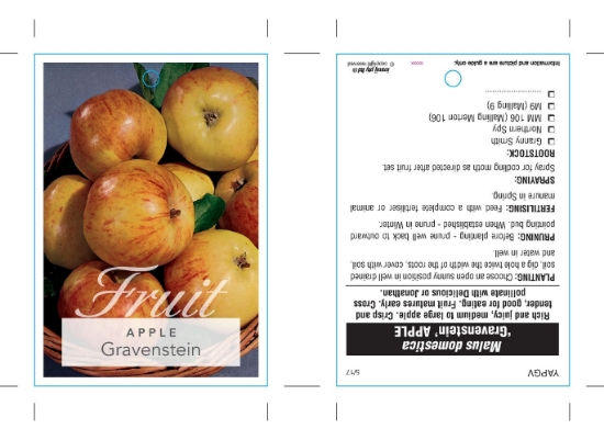 Picture of FRUIT APPLE GRAVENSTEIN                                                                                                                               