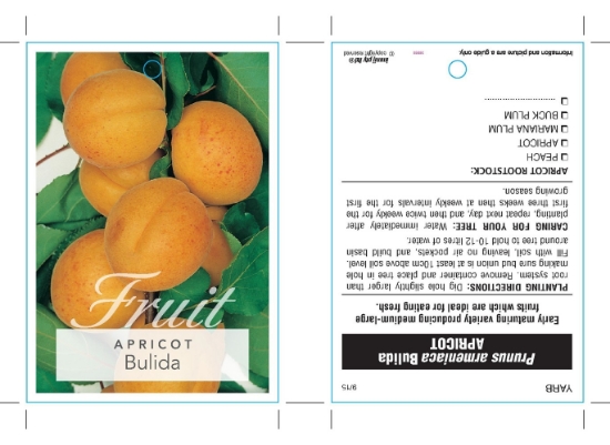 Picture of FRUIT APRICOT BULIDA                                                                                                                                  