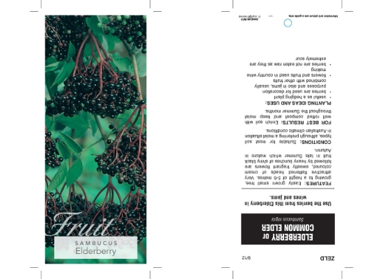 Picture of FRUIT ELDERBERRY Jumbo Tag                                                                                                                            