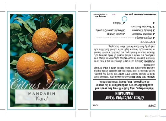 Picture of FRUIT CITRUS MANDARIN KARA                                                                                                                            