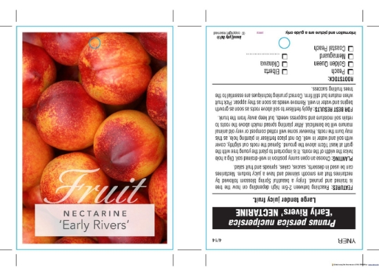 Picture of FRUIT NECTARINE EARLY RIVERS (HERITAGE)                                                                                                               