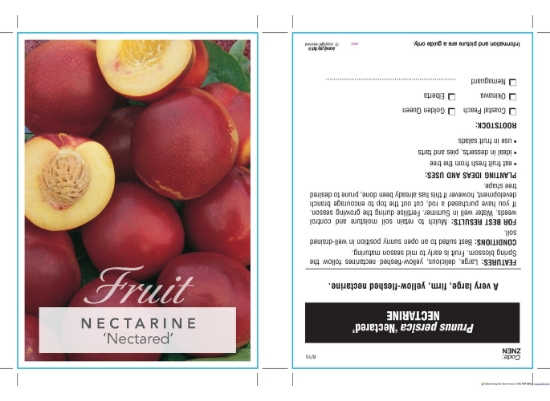 Picture of FRUIT NECTARINE NECTARED (HERITAGE) Jumbo Tag                                                                                                         