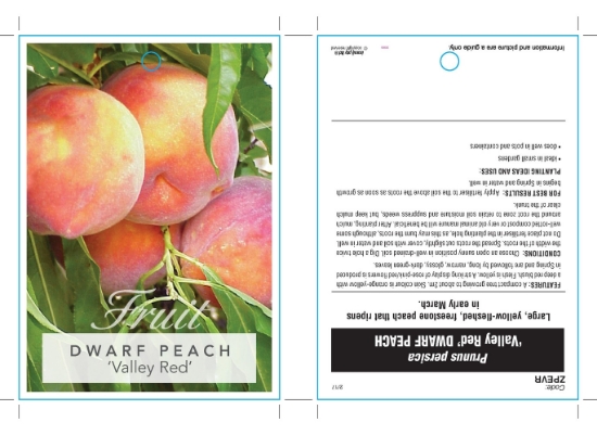 Picture of FRUIT PEACH DWARF VALLEY RED Jumbo Tag                                                                                                                