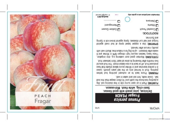Picture of FRUIT PEACH FRAGAR (HERITAGE)                                                                                                                         