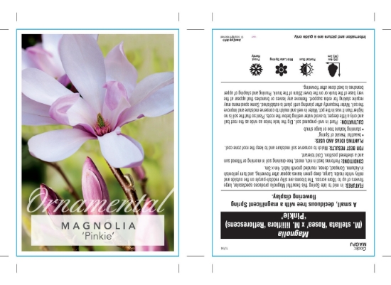Picture of MAGNOLIA PINKIE Jumbo Tag                                                                                                                             