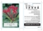 Picture of PLUMERIA RUBRA RED FRANGIPANI                                                                                                                         