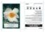 Picture of ROMNEYA COULTERI CALIFORNIAN TREE POPPY                                                                                                               