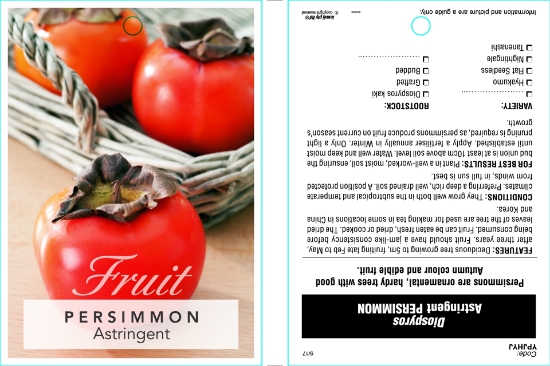 Picture of FRUIT PERSIMMON ASTRINGENT VARIETIES (TICK BOX) Jumbo Tag                                                                                             