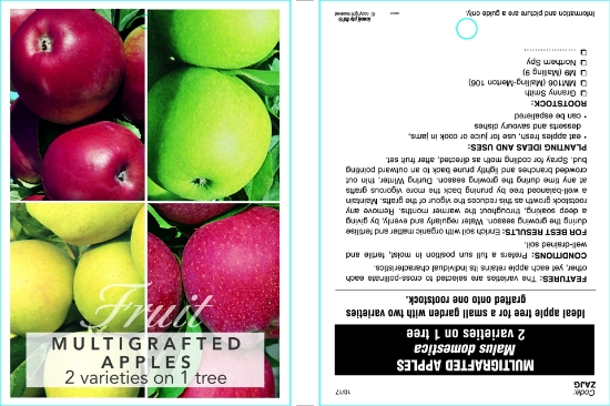 Picture of FRUIT APPLE MULTIGRAFT 2 ON 1 Jumbo Tag                                                                                                               