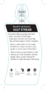 Picture of NANDINA GULF STREAM                                                                                                                                   