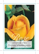 Picture of ROSE BRONZE MASTERPIECE (HT)                                                                                                                          