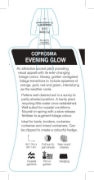 Picture of COPROSMA EVENING GLOW                                                                                                                                 