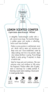Picture of CUPRESSUS LEMON SCENTED CONIFER                                                                                                                       