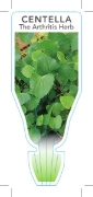 Picture of **HERB THE ARTHRITIS HERB (Centella asiatica)                                                                                                         