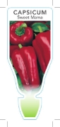 Picture of **VEGETABLE CAPSICUM SWEET MAMA (Capsicum annuum)                                                                                                     