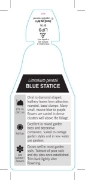 Picture of LIMONIUM PEREZII BLUE STATICE                                                                                                                         