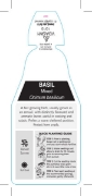 Picture of HERB BASIL MIXED (Ocimum basilicum)                                                                                                                   