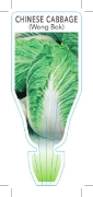 Picture of **VEGETABLE CABBAGE CHINESE/WONG BOK (Brassica rapa var Pekinensis)                                                                                   