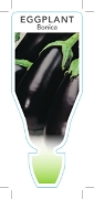 Picture of **VEGETABLE EGGPLANT BONICA (Solanum melongena)                                                                                                       