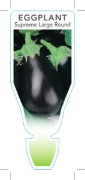 Picture of VEGETABLE EGGPLANT SUPREME LARGE ROUND (Solanum melongena)                                                                                            