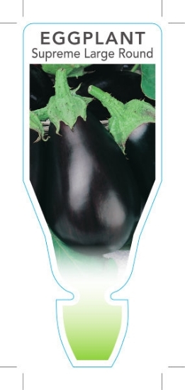 Picture of VEGETABLE EGGPLANT SUPREME LARGE ROUND (Solanum melongena)                                                                                            