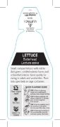 Picture of VEGETABLE LETTUCE BUTTERHEAD (Lactuca sativa)                                                                                                         