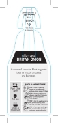 Picture of VEGETABLE ONION BROWN (Alium cepa)                                                                                                                    