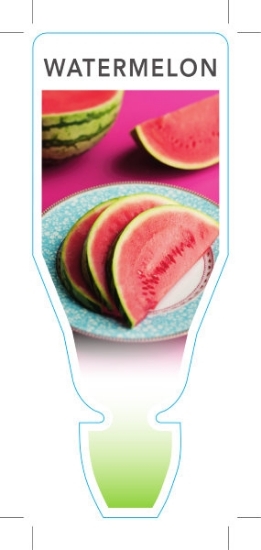 Picture of WATERMELON UNNAMED VARIETY (Citrullus lanatus)                                                                                                        
